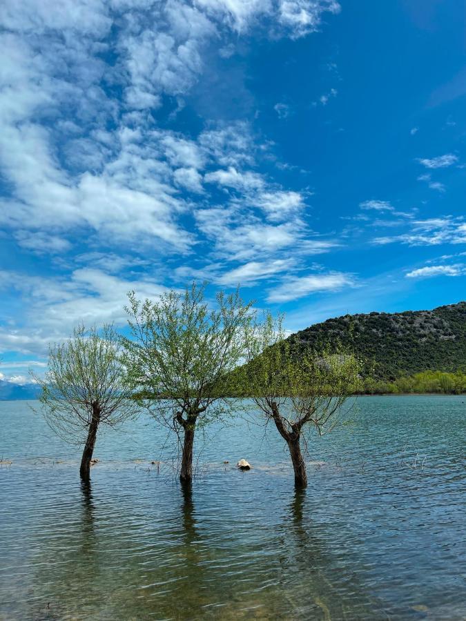 Lakeview Apartments Jolicic Virpazar Εξωτερικό φωτογραφία